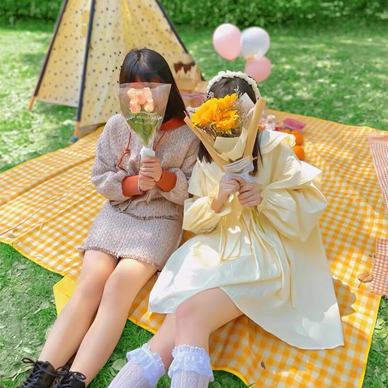 野餐垫防水加厚防潮垫沙滩地垫毯子帐篷户外春游野炊露营草坪垫子