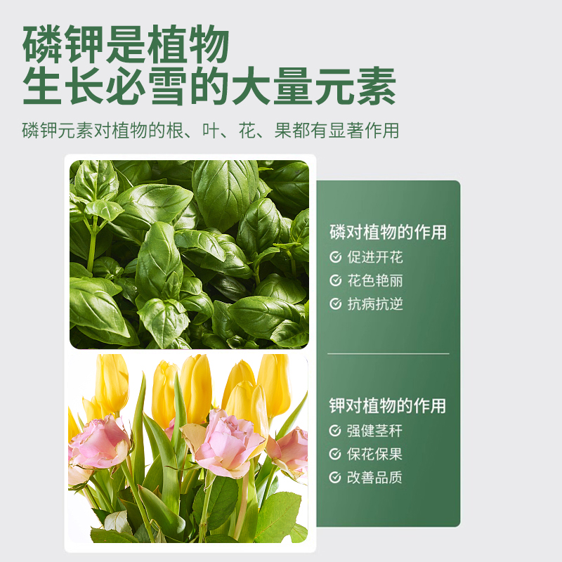 磷酸二氢钾花肥叶面肥通用型磷钾肥促开花肥料花卉复合肥养花硫酸 - 图0