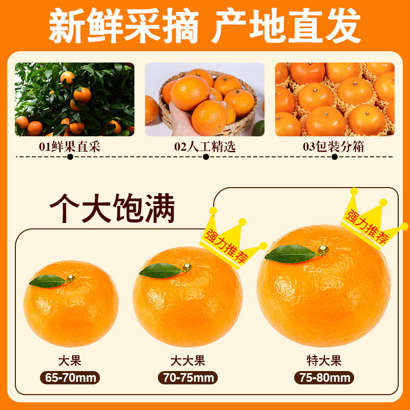 正宗广西武鸣沃柑新鲜水果当季整箱大果桔子砂糖沙蜜橘柑橘子