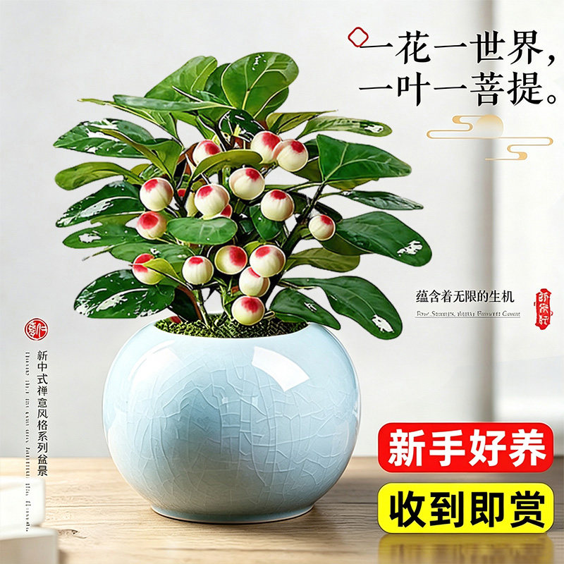 图5