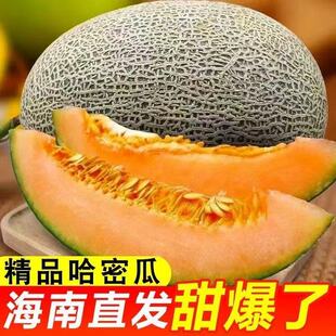 下拉18.8！海南哈密瓜吐鲁番西州蜜25号9斤