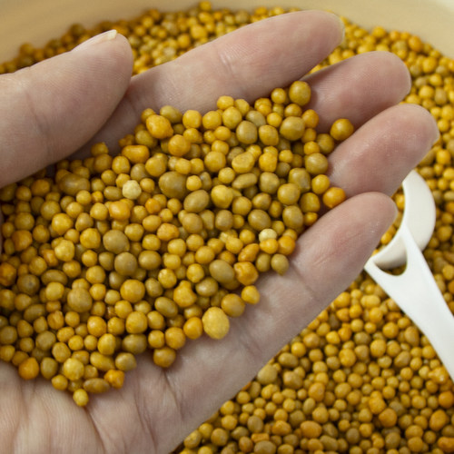 荷兰进口奥绿缓释肥颗粒肥A2 1号5号 318 315通用原包分装花肥料 - 图2