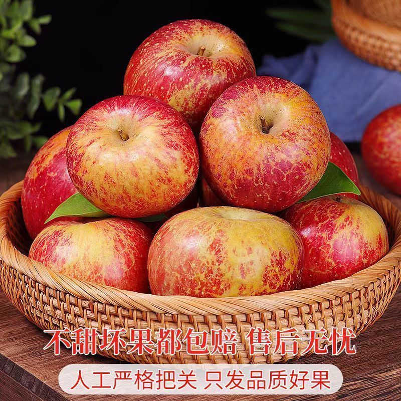 图 2