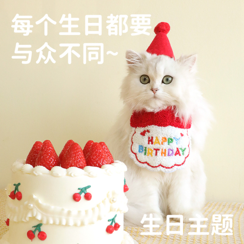 宠物狗狗猫咪生日围嘴兜帽子口水巾泰迪柴犬拍照可爱道具装扮饰品