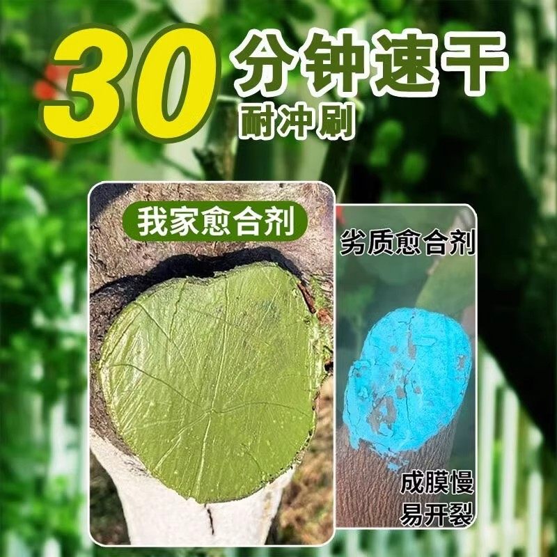 树木伤口愈合剂嫁接愈合膏植物树皮盆景果树切口专用涂膜剂修剪,淘宝优惠券,粉丝福利购,淘宝优惠卷