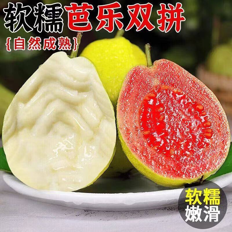 福建软糯软心芭乐5斤水果漳州当季奶油软白番石榴应季新鲜巴乐果,淘宝优惠券,粉丝福利购,淘宝优惠卷