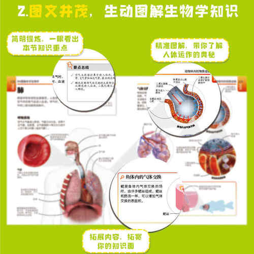 DK图解中学生物学学习手册初中通用高中紧贴瞄准中高考课堂之外的强辅助高效学会化学生物生活科学科普知识化工植物漫画百科大学 - 图2