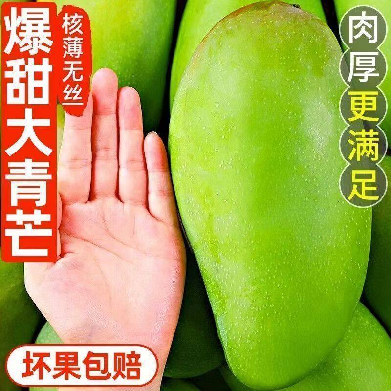 正宗云南现摘现发大青芒新鲜应季水果青皮金煌芒整箱批发超大芒果 正宗云南现摘现发大青芒新鲜应季水果青皮金煌芒整箱批发超大芒果