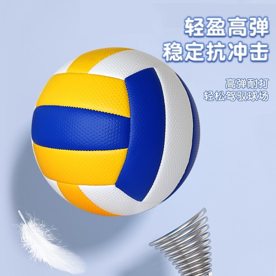 正品5号排球中考学生专用初中生软排4号小学生体育比赛气排球专业