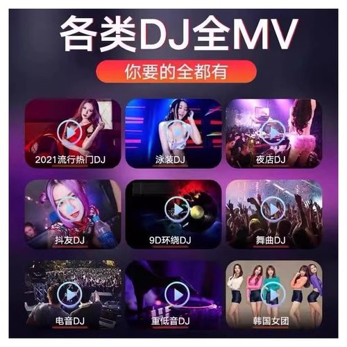 2025新款车载u盘音乐抖音流行歌曲经典dj新歌中文热门舞曲MP4优盘 - 图2