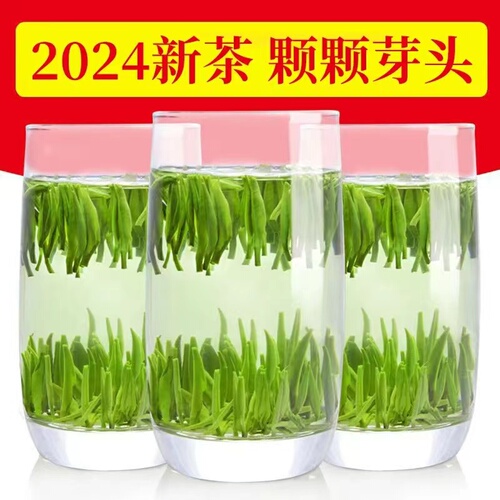 雀舌2024新茶绿茶明前头采嫩芽春茶特级浓香贵州湄潭翠芽炒青茶叶