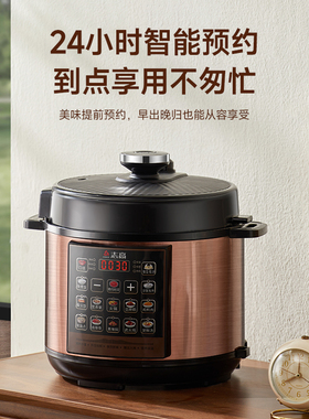 志高电压力锅家用小型多功能迷你