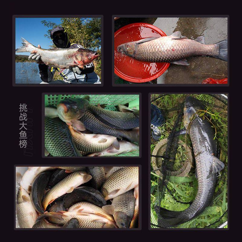 正品583鱼竿手竿碳素超轻超硬28调台钓竿19调大物竿小综合鱼竿,淘宝优惠券,粉丝福利购,淘宝优惠卷