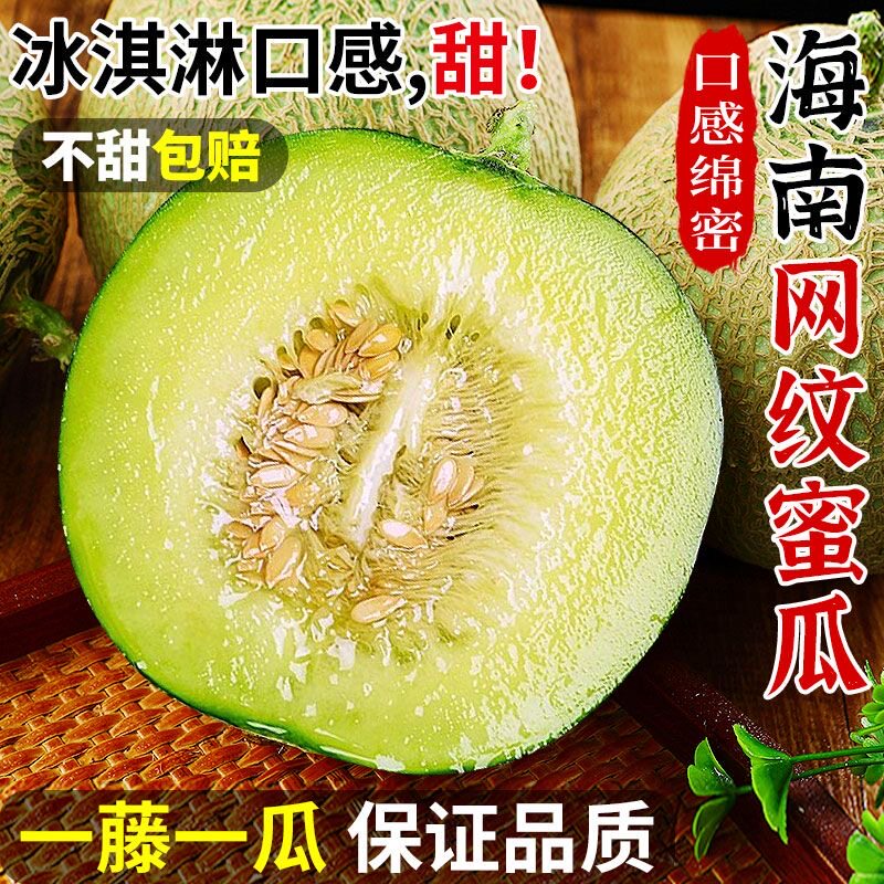 海南玫珑瓜网纹蜜瓜牛3三冰淇淋甜瓜一藤一瓜应季时令水果哈密瓜