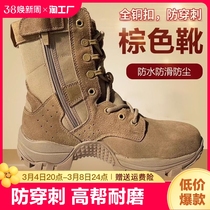 International Wargenuine Brown Combat Training Boots Male Ultralight Outdoor For Training Anti-Puncture High Help Mountaineering Wear and Wear Female Desert Boots