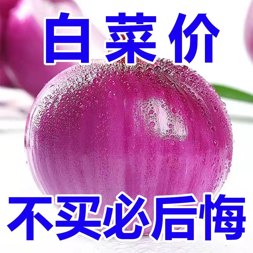 河南哪洋葱农家自种紫皮洋葱水果元葱红皮洋葱蔬菜5斤9斤新鲜 - 图0