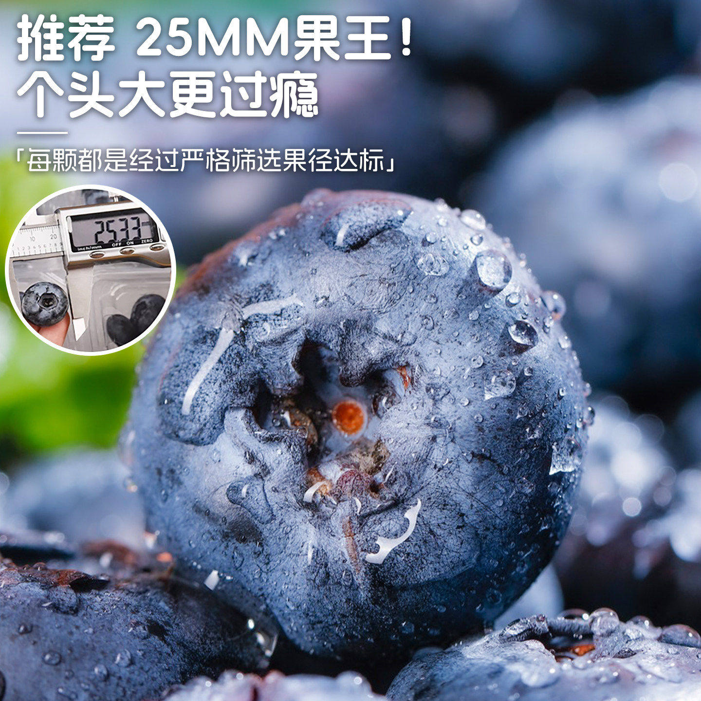 蓝莓新鲜水果孕妇水果超大果云南L25脆甜花香蓝莓顺丰包邮
