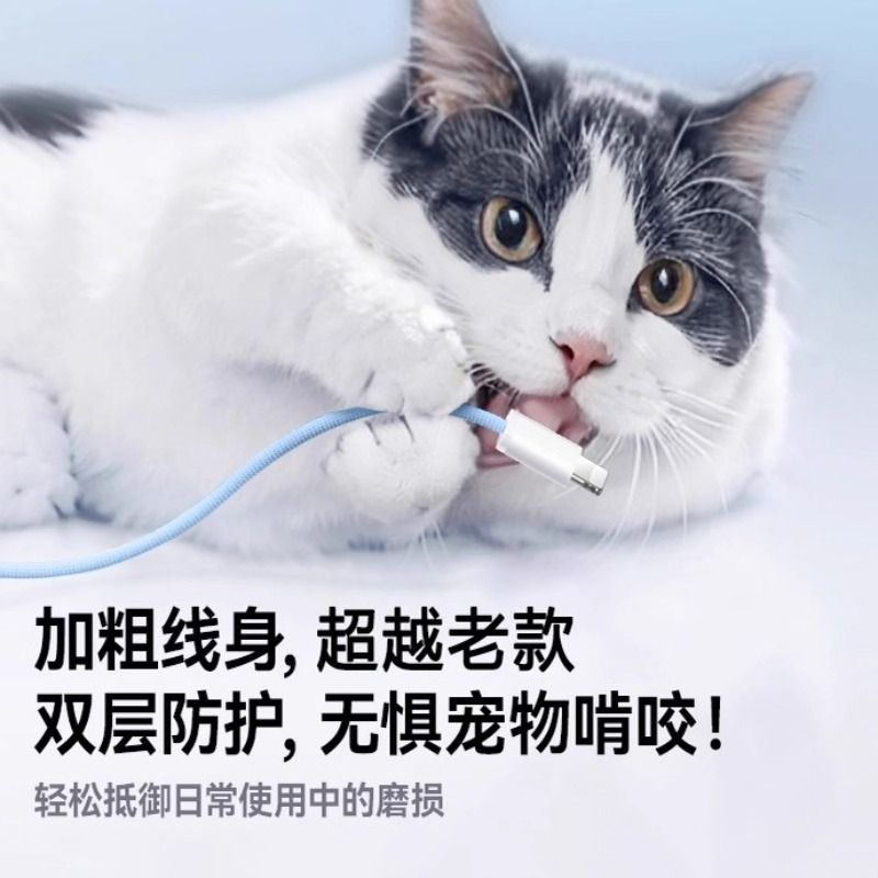 适用苹果17/16充电器线适用iphone14promax手机pd快充13编织11平板ipad12双typec转lightning数据线usb15 - 图3