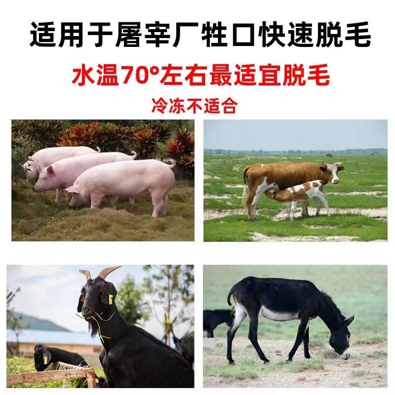 电动屠宰专用脱毛机刮猪毛神器去牛羊毛杀猪脱毛拔毛器家禽刮毛刀 - 图1