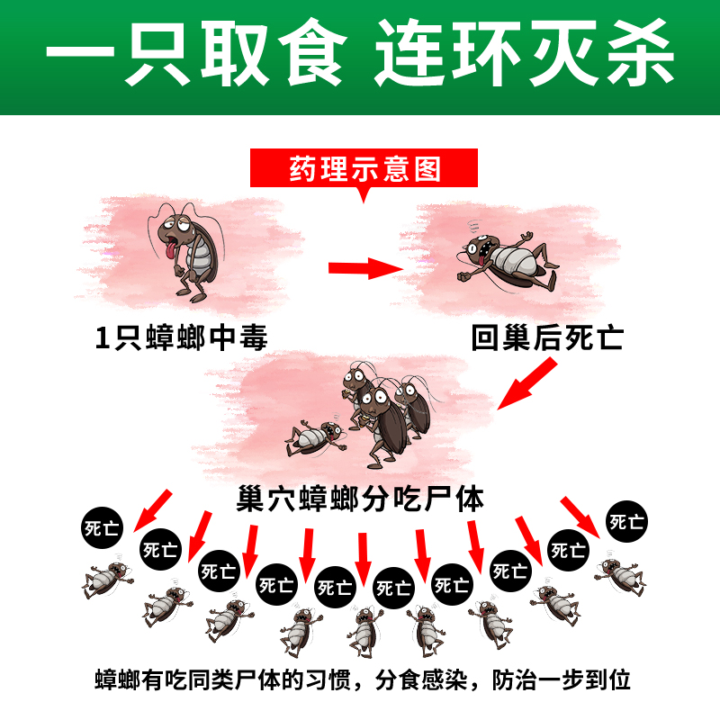 灭蟑螂药家用一窝全窝厨房端非无毒强力灭蟑神器专用杀虫剂粉餐厅 - 图1