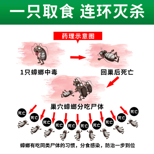 灭蟑螂药家用一窝全窝厨房端非无毒强力灭蟑神器专用杀虫剂粉餐厅