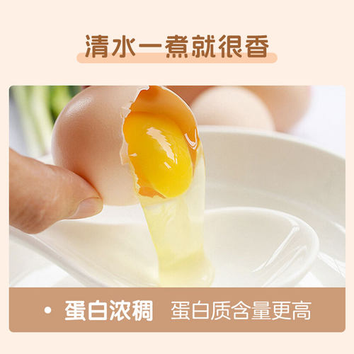九华山鸡蛋顺丰包邮66枚正宗农家笨鸡蛋柴鸡蛋新鲜配送次日保存 - 图3
