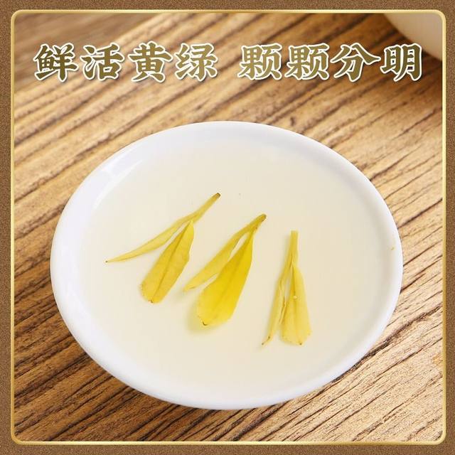 黄金芽茶叶2024新茶明前特级高山绿茶毛峰500g浓香型自己喝茶农