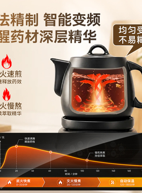 全自动中药电煎壶陶瓷款