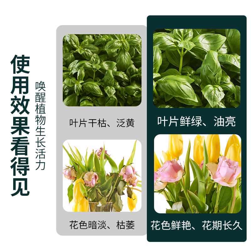 磷酸二氢钾花肥叶面肥通用型磷钾肥促开花肥料花卉复合肥养花硫酸 - 图2