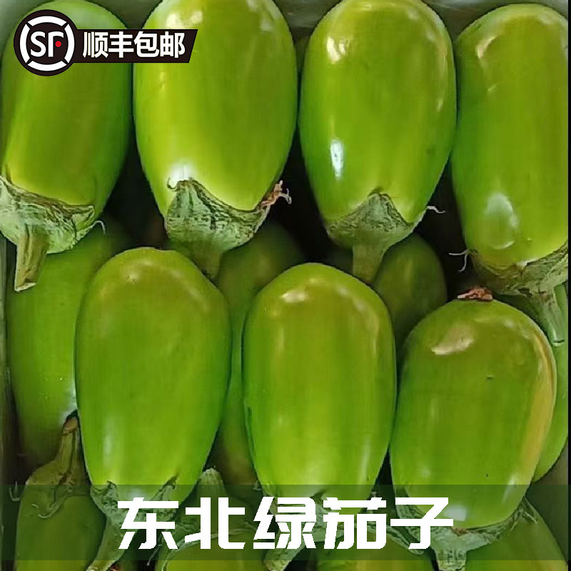 顺丰/EMS东北新鲜青茄子农家自种绿茄子新鲜蔬菜圆茄绿圆茄多规格,淘宝优惠券,粉丝福利购,淘宝优惠卷