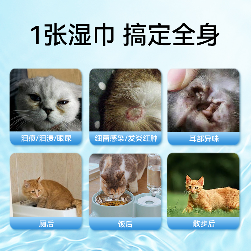 【交个朋友】宠物湿巾猫咪狗专用清洁湿纸巾幼猫犬免洗澡除臭去污-图2