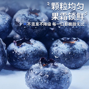 云南花香蓝莓鲜果新鲜水果现货l25高山整箱空运大果一颗现摘采摘