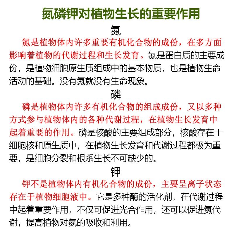 三元复合肥蔬菜农用种菜花肥料家庭园艺盆栽通用氮磷钾缓释肥颗粒 - 图2