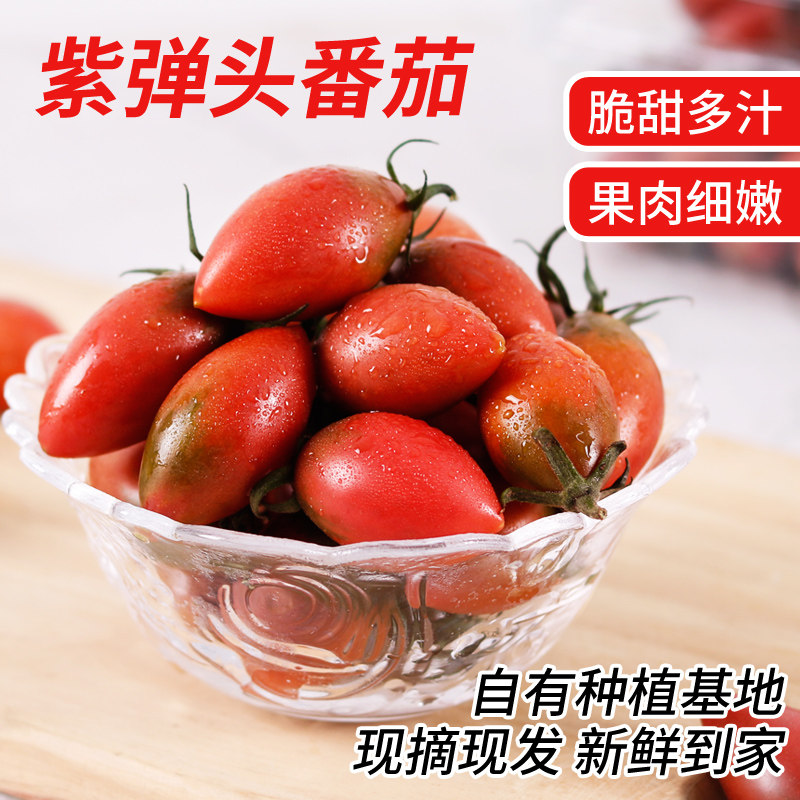 新鲜紫弹头小番茄福建产地发当季小西红柿孕妇水果减脂期水果番茄,淘宝优惠券,粉丝福利购,淘宝优惠卷