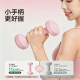 Small dumbbells for women's fitness home equipment 2kg pair of youth strength training pure iron Yaling exercise special