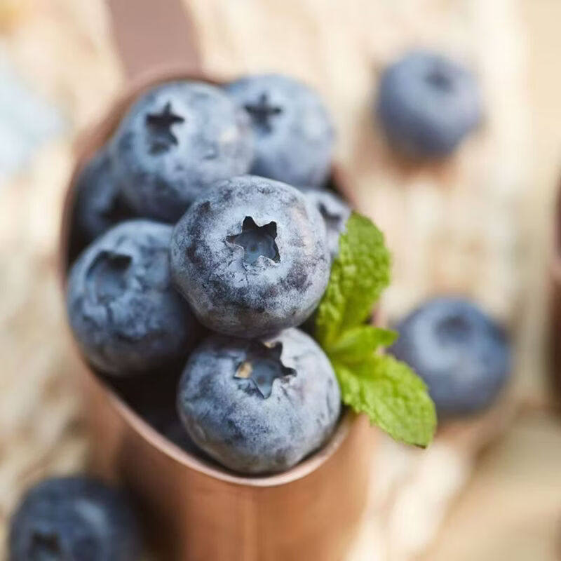 云南高山蓝莓新鲜水果当季L25花香蓝梅单盒150g鲜果现摘大果整箱,淘宝优惠券,粉丝福利购,淘宝优惠卷