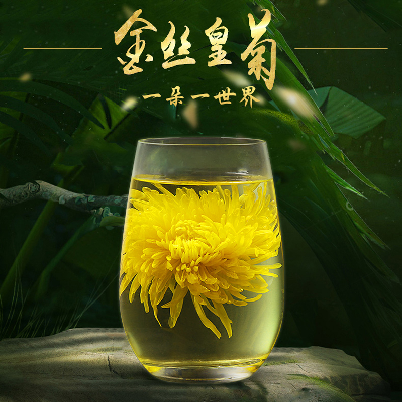 【1朵】高山金丝皇菊