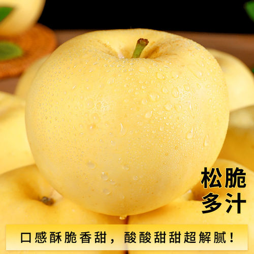 烟台苹果黄金奶油富士新鲜水果脆甜多汁现货平果当季鲜果整箱包邮 - 图0