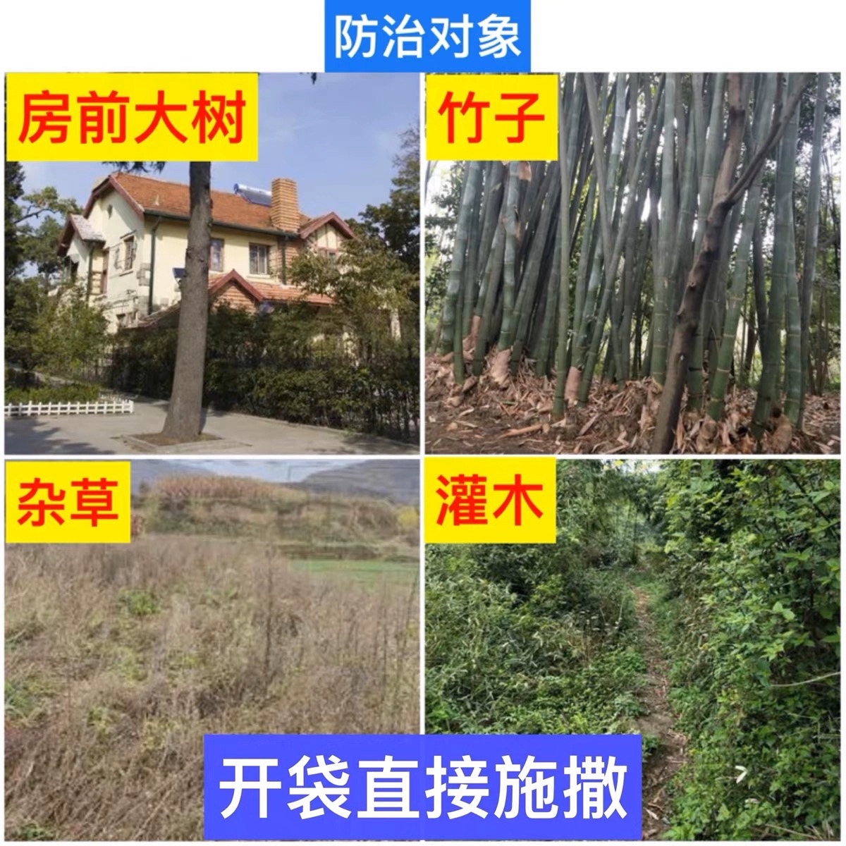 环嗪酮除草烂根剂一扫光除大树烂根粉灌木强力颗粒剂杀树免稀释 - 图1