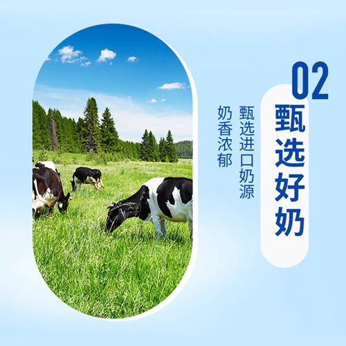统一阿萨姆奶茶经典原味500ml多口味网红奶茶饮品饮料奶茶批发 - 图3