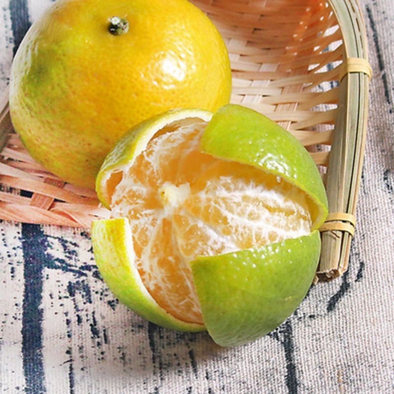 正宗广西皇帝柑贡柑橘子清甜多汁新鲜当季水果5斤整箱包邮,淘宝优惠券,粉丝福利购,淘宝优惠卷