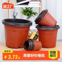 Bicolor basin seedling basin plastic flower pot disposable basin nutrient bowl cultivation with green planting multi-meat cuttage pot cultivation