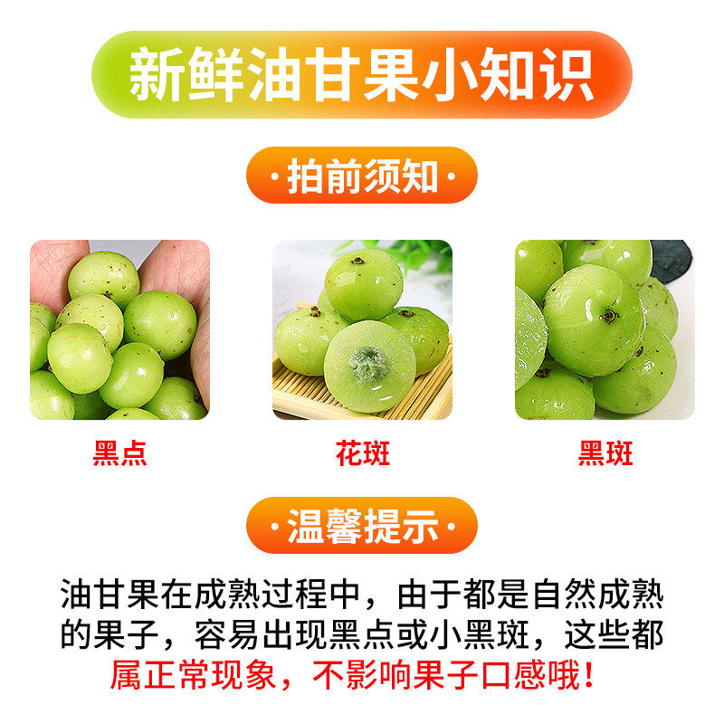 潮汕普宁崩坎甜油柑新鲜油甘果牛甘果余甘果滇橄榄甜种甜油甘包邮 - 图2