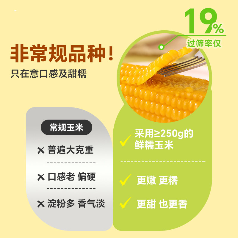 东北有机黄糯玉米新货真空黏玉米棒现摘黄糯苞米非即食早餐代餐