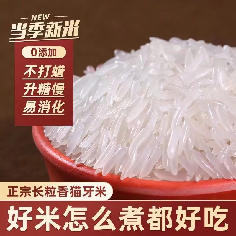 进口柬埔寨香米大米长粒香米猫牙米当季新米真空包装5/10斤多规格 - 图0