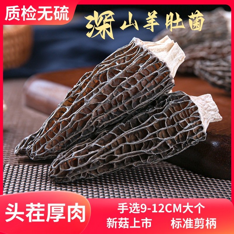 干货羊肚菌特产级云南新鲜特级野生蘑菇菌菇汤料包头茬剪柄煲汤 - 图0