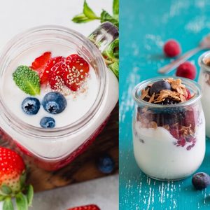 佰生优正品益生菌酸奶发酵菌乳酸菌粉发酵剂家用自制酵母菌粉原味