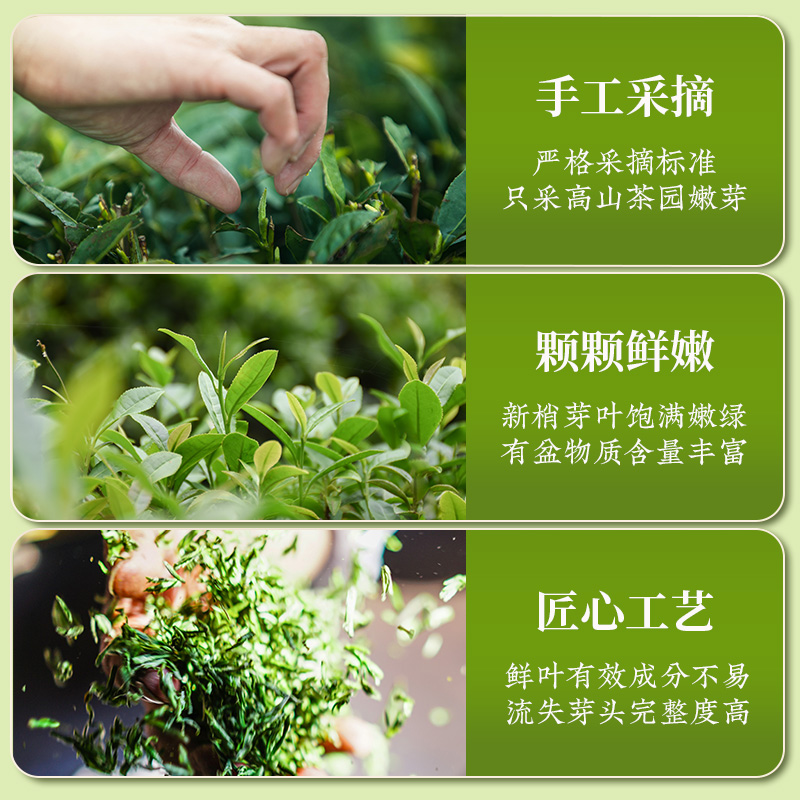 都匀毛尖茶叶绿茶新茶高山明前早春嫩芽散装250g茶农炒青一级黄金 - 图2