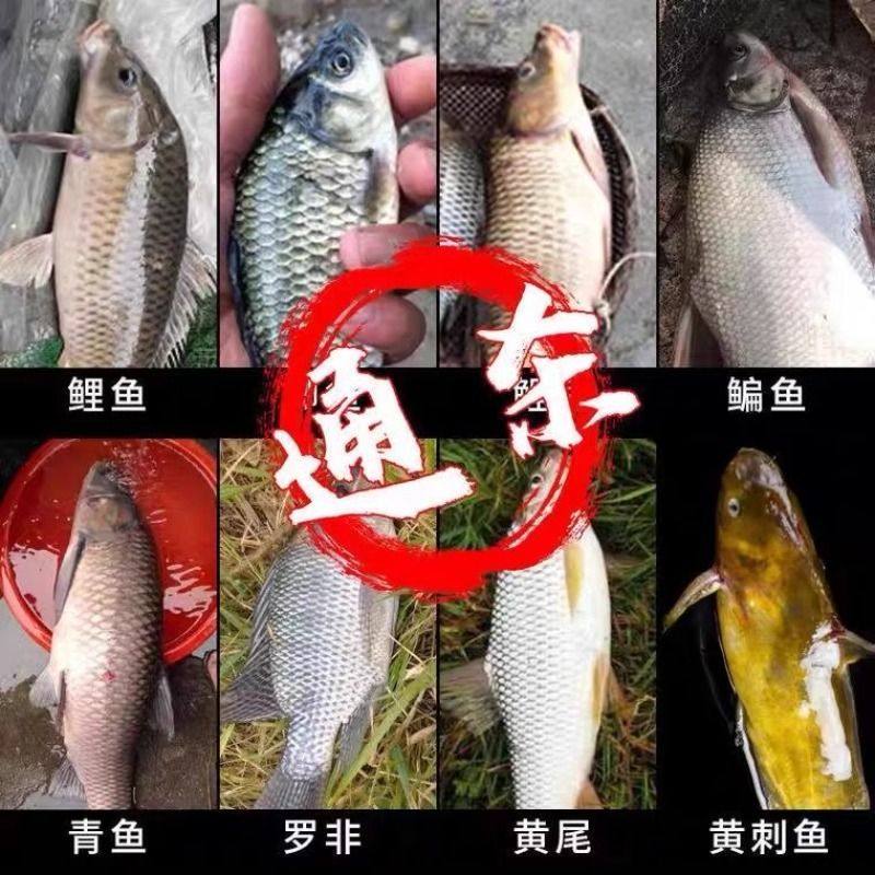 钓鱼饵料鲫鱼鲤鱼草鱼罗非青鱼黑坑通杀鱼饲料直接挂钩颗粒,淘宝优惠券,粉丝福利购,淘宝优惠卷