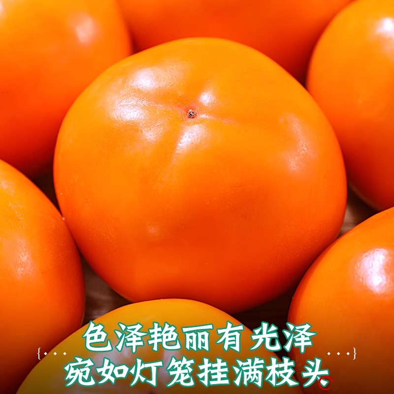 【脆甜爽口】陕西阳丰脆柿子巧克力脆柿子冰糖心柿子坏果包赔